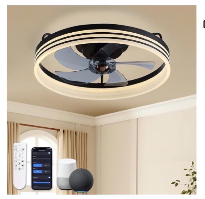 LUDOMIDE Smart Ceiling Fan with Lights and Alexa/Google Assistant/APP Control, 20" Low Profile Fan w