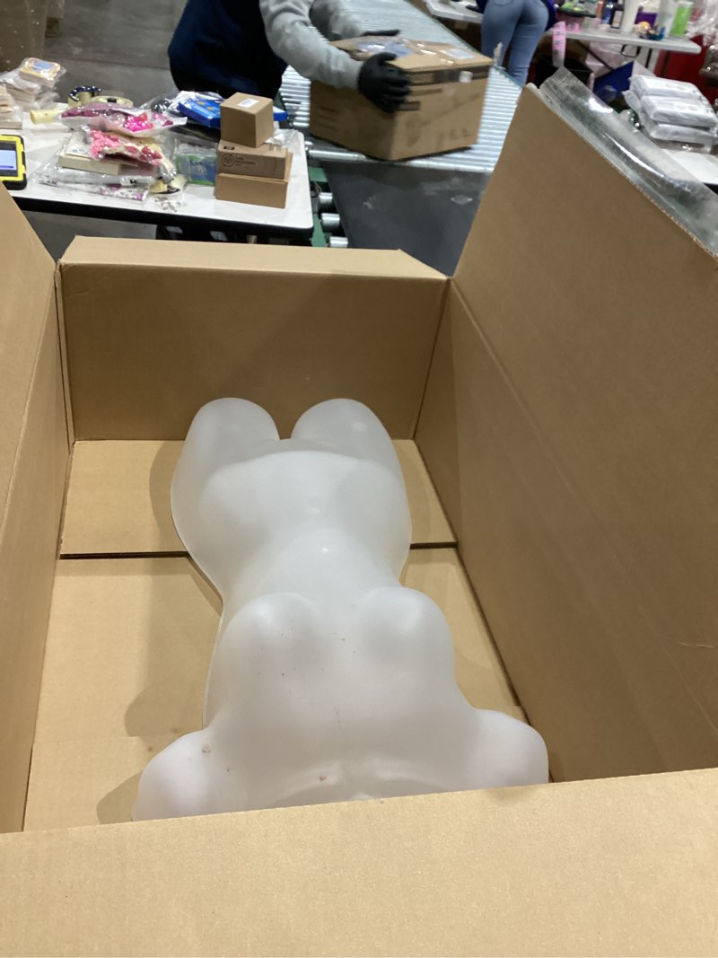 Condition photo showing As Is for SSWBasics Female Mannequin Torso - Fits Women’s Sizes 5-10 - Molded, Shatterproof &