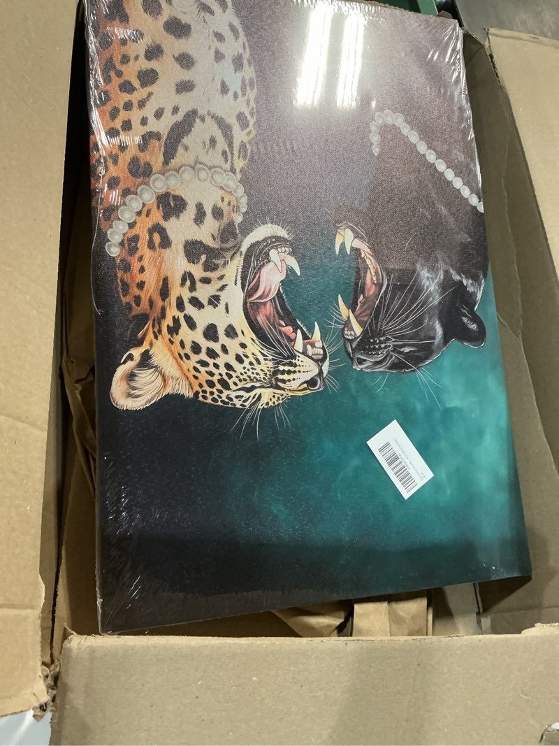 Condition photo showing Good Condition for Funny Cheetah Canvas Wall Art Emerald Green Wall Decor Leopard aesthetics Pictures Vintage Animal Print Artwork Black Panther Trendy painting poster for apartment dormitory decoration 16x24in Canvas 24L"x16W"