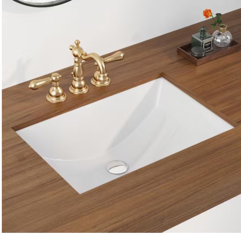 21 in. L x 15 in. W Rectangular Undermount Bathroom Sink with Overflow in White Vitreous China