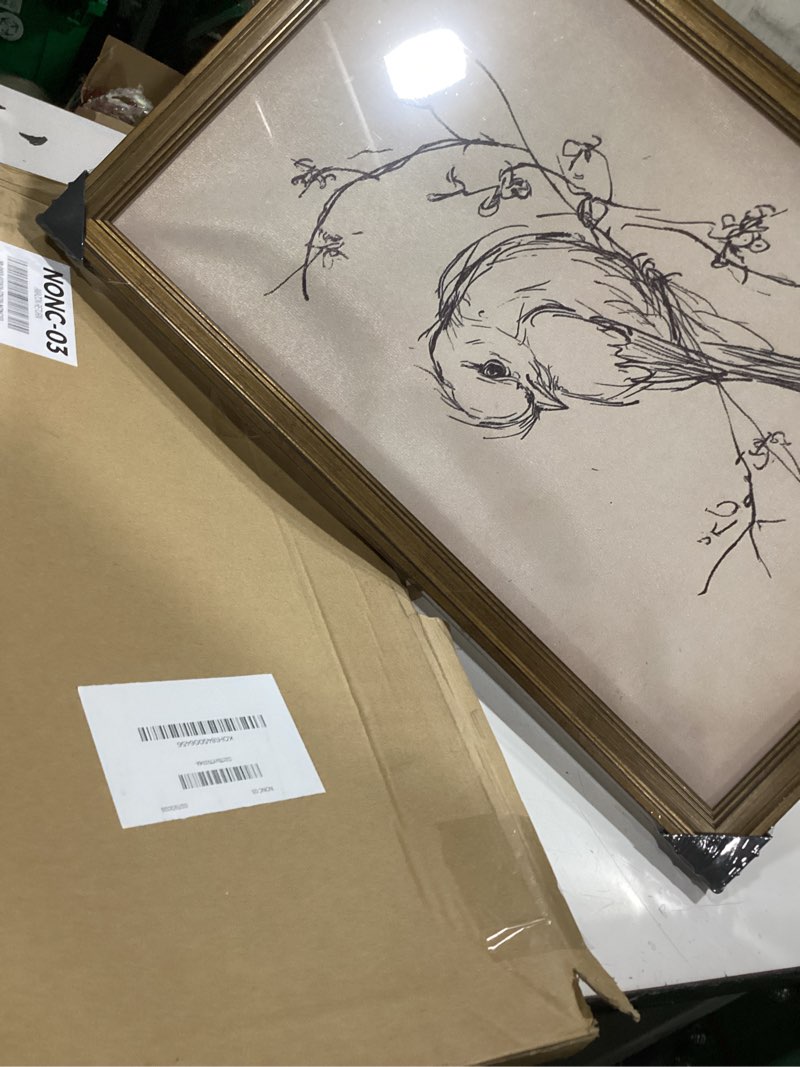 Condition photo showing Good Condition for vintage bird sketch canvas poster minimalist framed wall art retro birds on branch line drawing animal prints rustic farmhouse beige aesthetics decor for bedroom living room 16x24inch gold framed 16"l x 24"w sketch bird