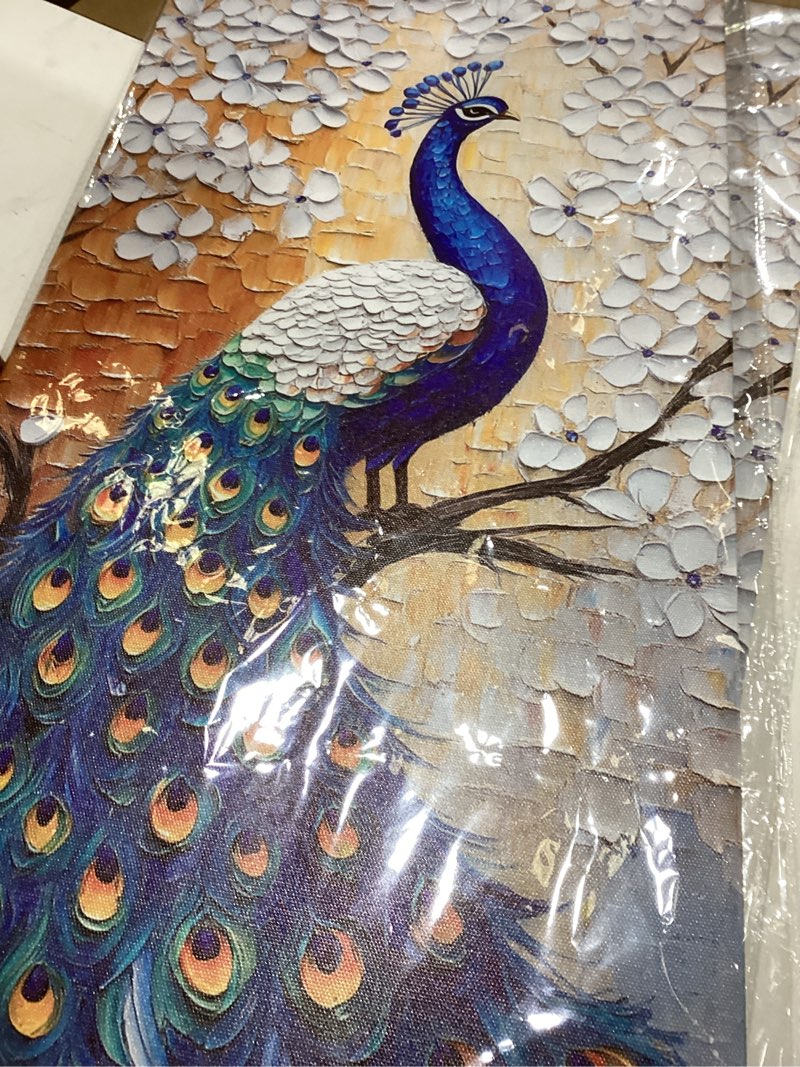 Condition photo showing Good Condition for Peacock Canvas Wall Art Abstract White Flower Picture Blue Feather Bird on Branch Painted Animal Vintage Artwork for Bathroom Bedroom Living Room Home Decor Framed(Picture-5,12.00"x24.00") Picture-5 24"L x 12"W