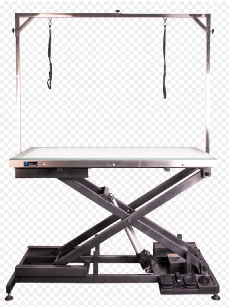 Groom Professional Mont Blanc Electric Dog Grooming Table 