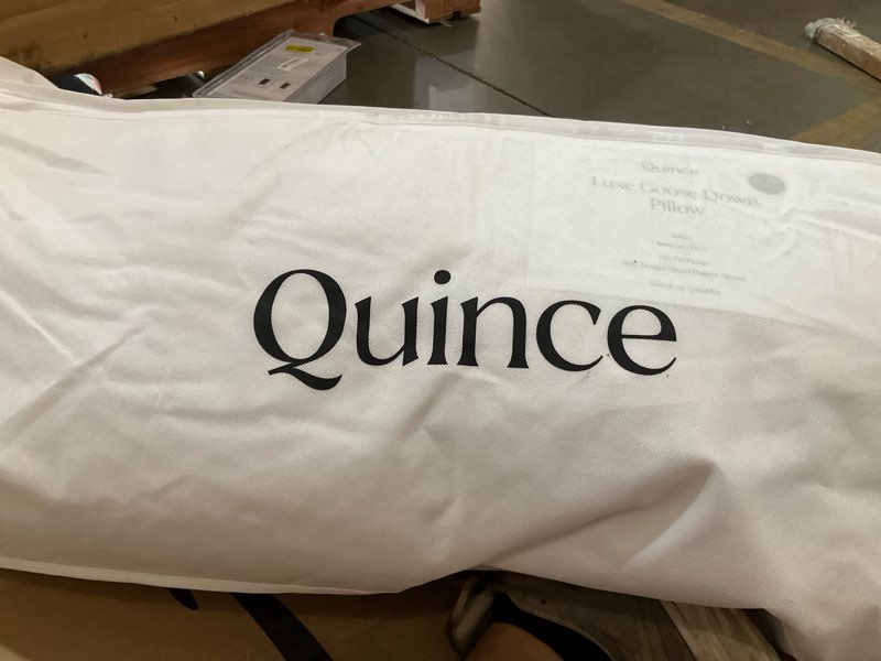 Condition photo showing Good Condition for quince luxe king goose down pillow