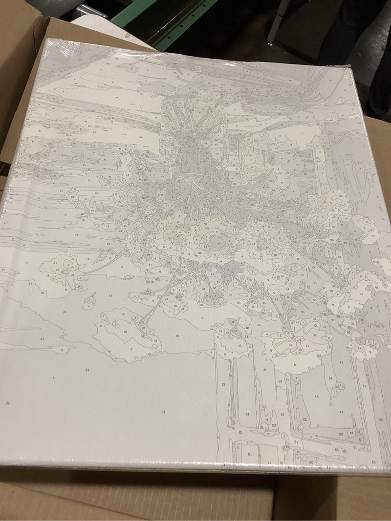 PRASIO Framed Paint by Numbers Kit for Adults Beginner, Flowers Adult Paint by Number Kits on Canvas