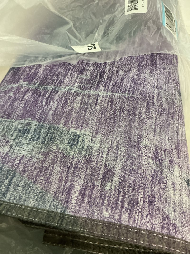 Condition photo showing Good Condition for Addison Rugs Chantille ACN1786 Lavender 2'6" x 3'10" Indoor/Outdoor, Machine Washable, Easy Clean, Non Shedding, Bedroom, Living Room, Dining Room, Kitchen, Patio Rug Lavender 2'6" x 3'10" (Rectangular)