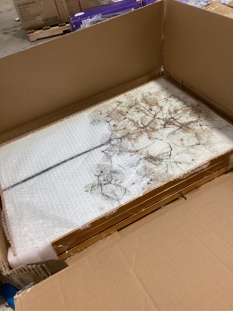 Condition photo showing Good Condition for (freedom. life. goals)bohemian neutral wall art set of 3, framed beige dandelion, epiphyllum & ocean wave crystal prints with gold frame, minimalist botanical wall decor for living room bedroom bathroom?24 inches *16 inches?