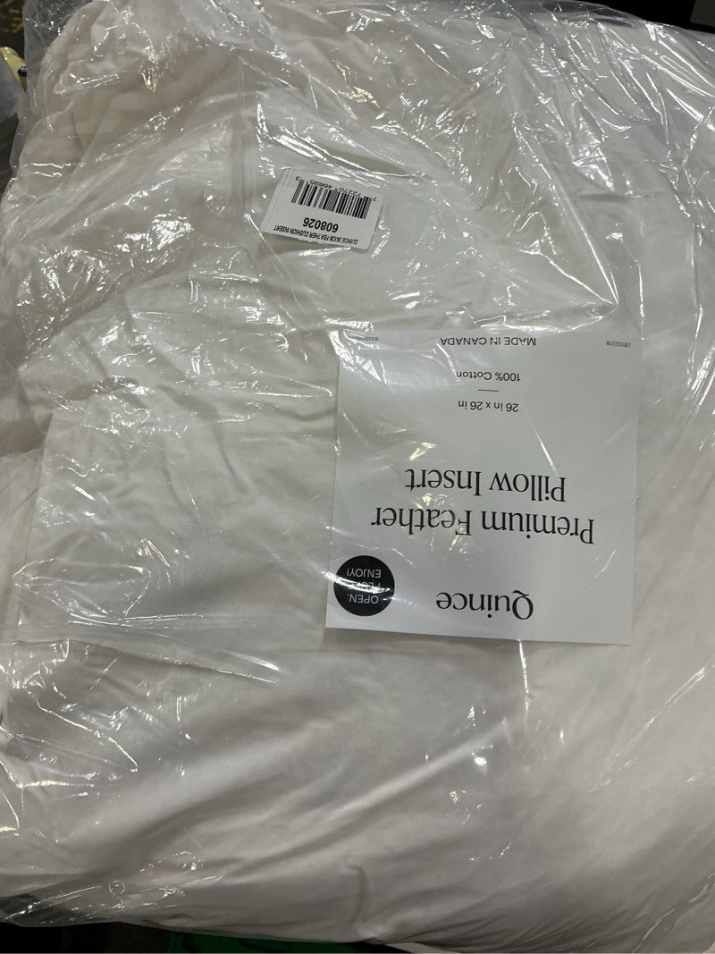 Condition photo showing Good Condition for premium feather pillow insert (set of 2), 26x26, no color