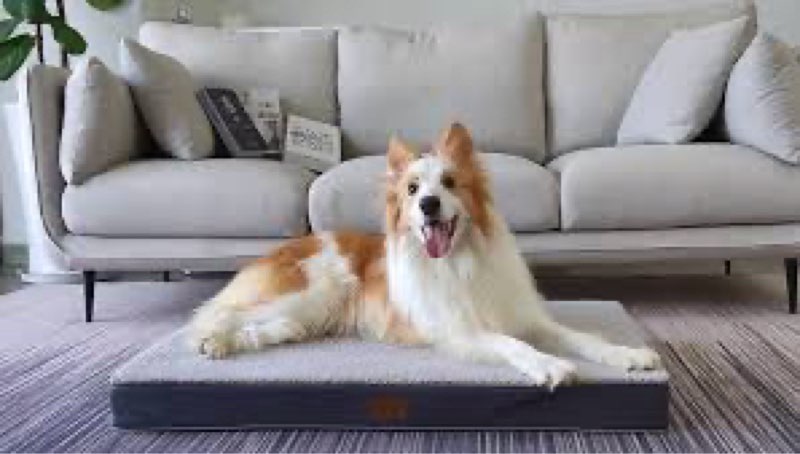 sunheir orthopedic dog bed for large dogs - big waterproof dog crate bed with re