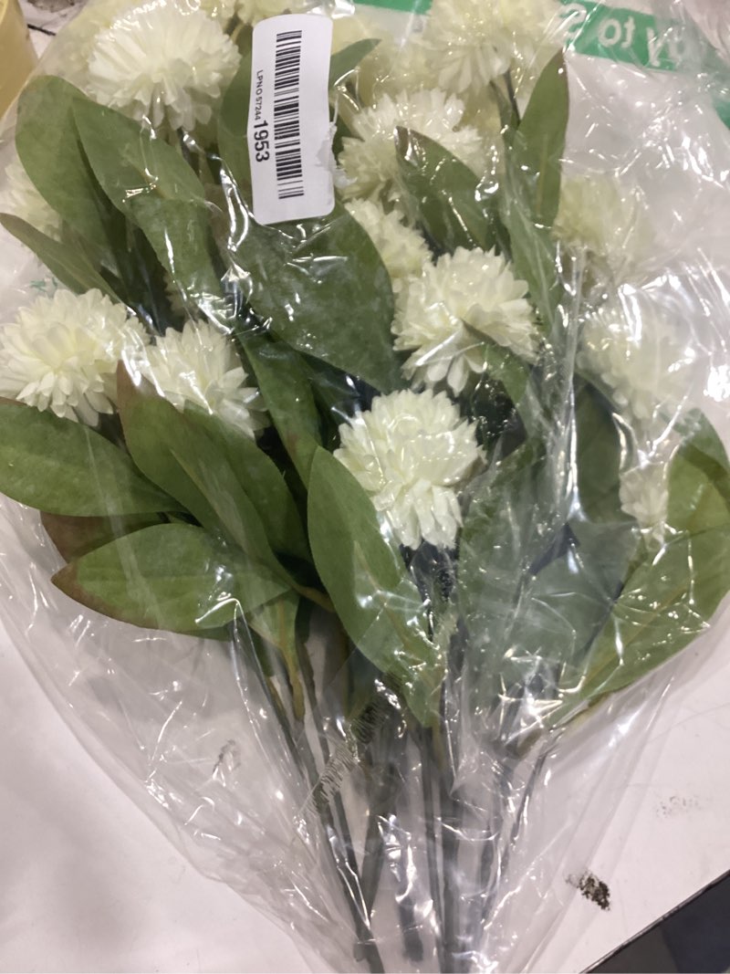 Condition photo showing Good Condition for vierena 6 pcs faux silk pompon mum artificial flowers for vase -27", bulk fake chrysanth branches with stems for diy bouquet centerpieces wedding fillers arrangements shower decorations (cream) 6 cream