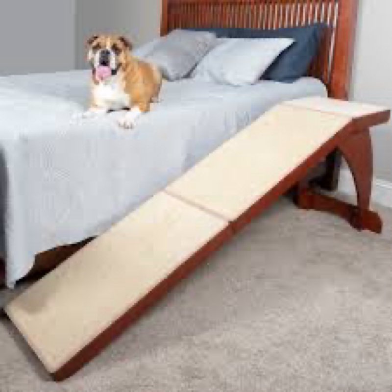 PetSafe CozyUp Bed Ramp - Supports Pets Back & Joints - High Traction Carpet Surface - Furniture-Gra