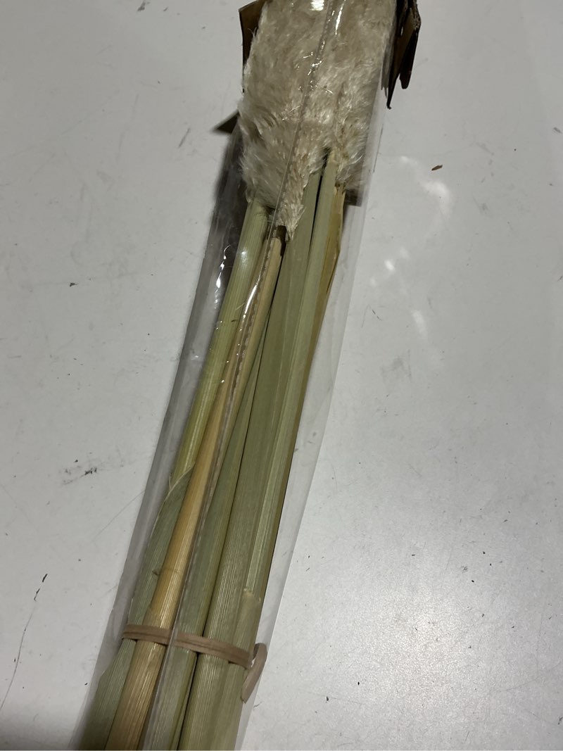 Condition photo showing Good Condition for 12pcs 40'' dried pampas grass decor - tall-large pampas grass - natural beige - boho home decor 40inch-12pcs beige