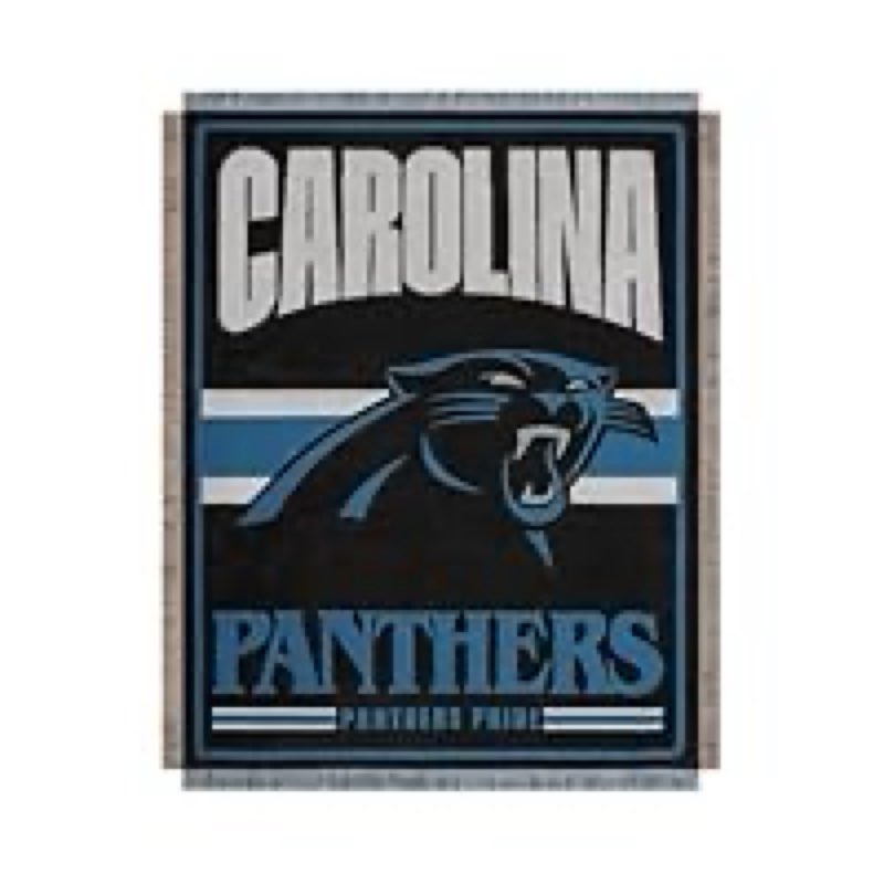 FOCO Carolina Panthers NFL Team Logo Woven Tapestry - 46" x 60"