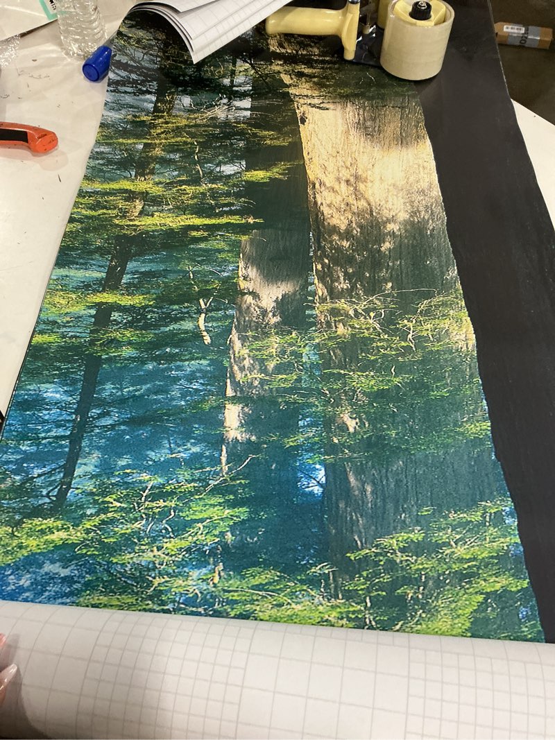 Condition photo showing New/Like New for (Similar) REDAMANCY Blue Green Forest River Jungle Landscape Peel and Stick Door Stickers Vinyl 3D Door Mural Decals Decor Modern Door Wallpaper Self-Adhesive, Waterproof, Removable Mta-04