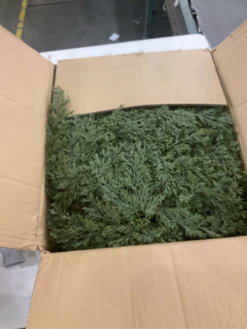 Condition photo showing As Is for Crowye 6 Pcs 6ft Christmas Cedar Garland Artificial Pine Christmas Garland Realistic Winter Greenery Garland Green Pine Cypress Vines for Holiday Mantel Fireplace Table Centerpiece Xmas Decor