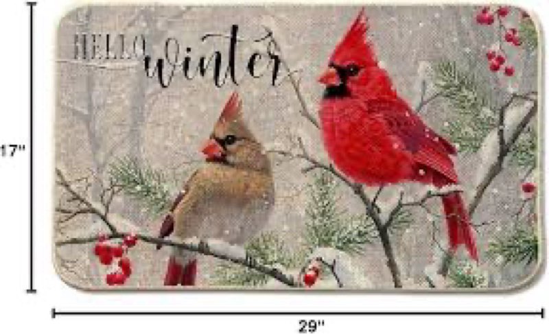 BitKAM Winter Christmas Cardinal Coir Doormat Door Welcome Mat for Home Entrance Front Door, Cottage ( similar )
