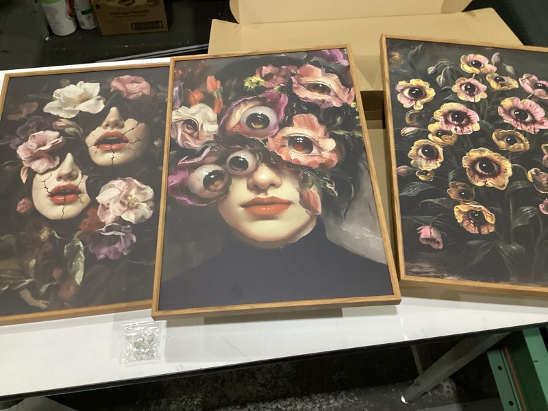 Condition photo showing Good Condition for TOARTi Large Framed Vintage Botanical Canvas Wall Art Set(16''x24''), Aesthetic William Morris Flowers Drawing Sketch Art Prints, Natural Antique Flower Painting Poster for Home Bedroom Living Room, NOT EXACTLY LIKE STOCK PHOTOS