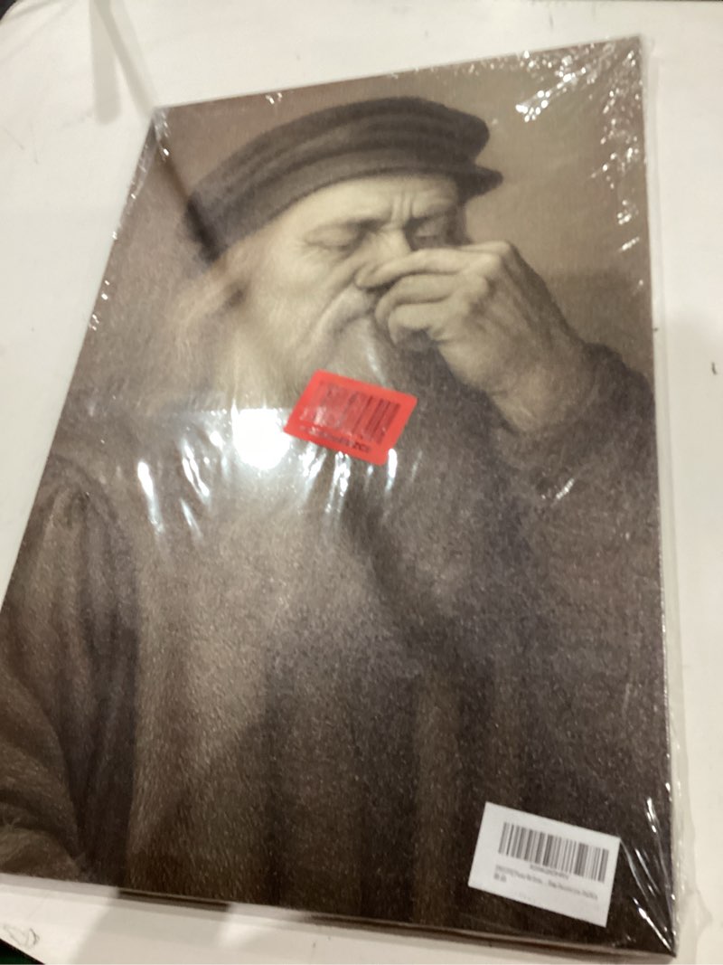 Condition photo showing New/Like New for funny bathroom canvas wall art decor, da vinci pinching nose toilet humor wall art, vintage humor wall art, funny toilet humour smell canvas print artwork for bathroom toilet restroom washroom 16x24'' da vinci pinching nose bathroom canvas 24"l x 16"w