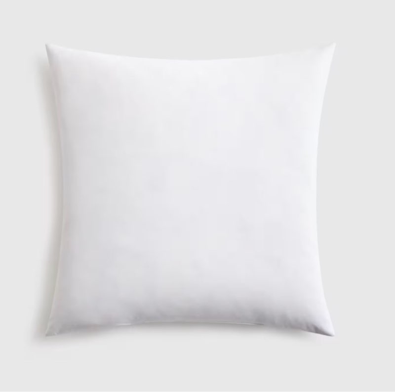 Premium Feather Pillow Insert, 22x22, No Color