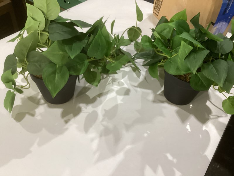 Condition photo showing Good Condition for alyptus fake pothos hanging plants – 33" set of 2 faux ivy vines with pots realistic silk devil’s ivy for indoor décor low maintenance artificial house plants for home bathroom or office - green green pothos