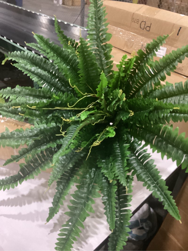 Condition photo showing Good Condition for forest prince 35" ferns artificial bush plants large, 2 artificial boston ferns with 39 fronds for outdoors home decor