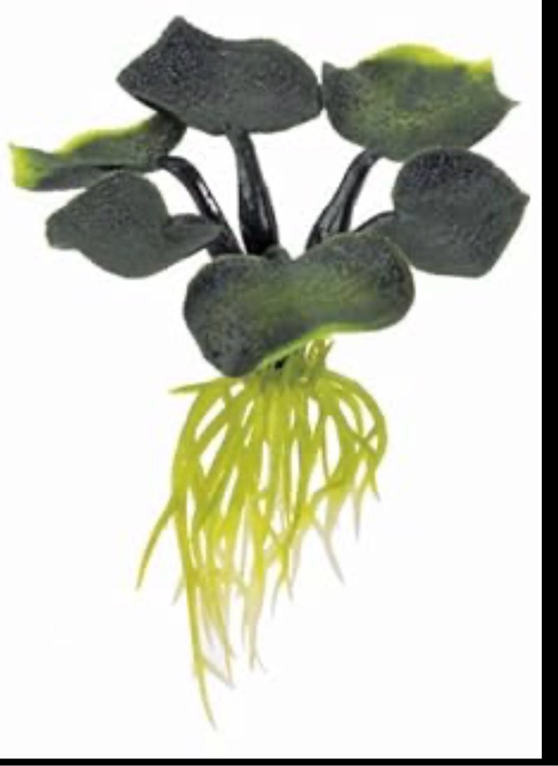 Assortment of Small Pet Items, Miscellaneous Small, Variety of Items, Multiple Pieces, 5 pieces total 