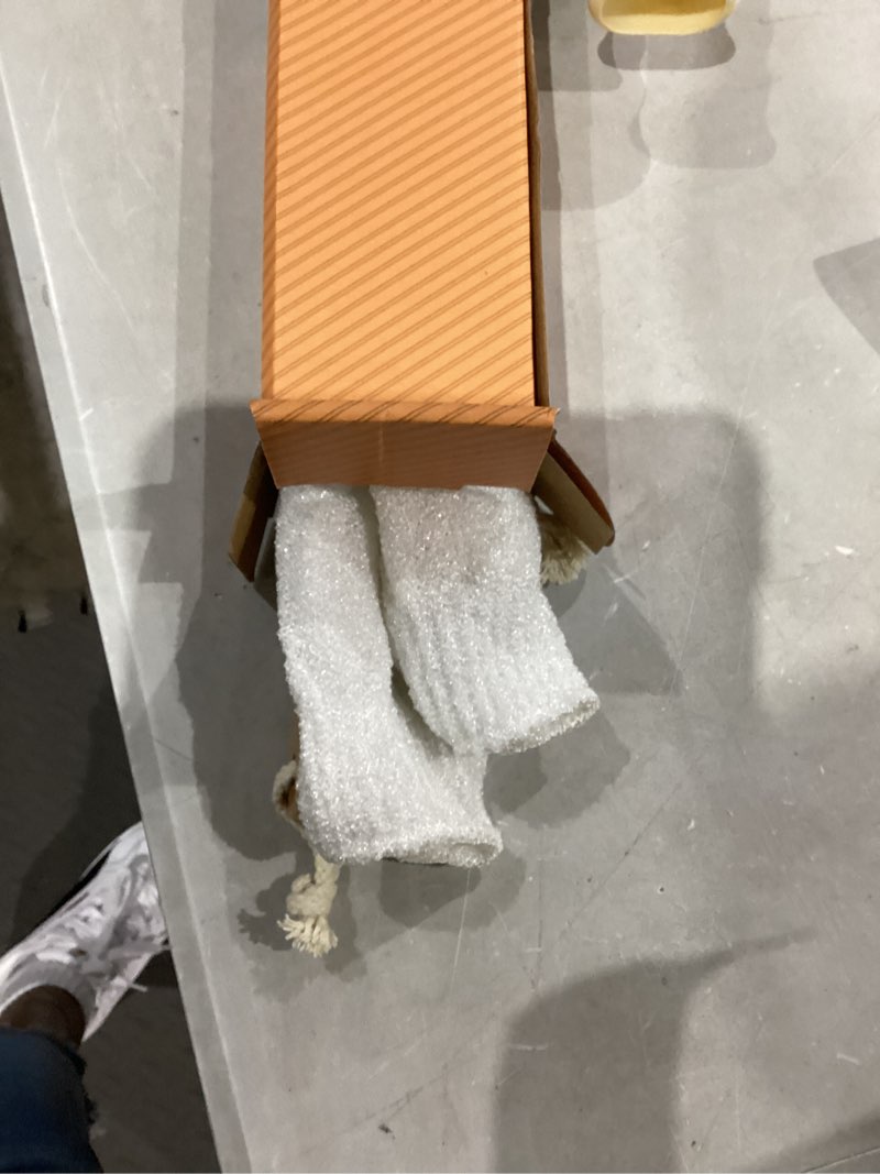 Condition photo showing Good Condition for belula dry brushing body brush set - natural boar bristle body brush, exfoliating face brush & bath gloves - ideal dry skin brush for lymphatic drainage & healthy glowing skin!