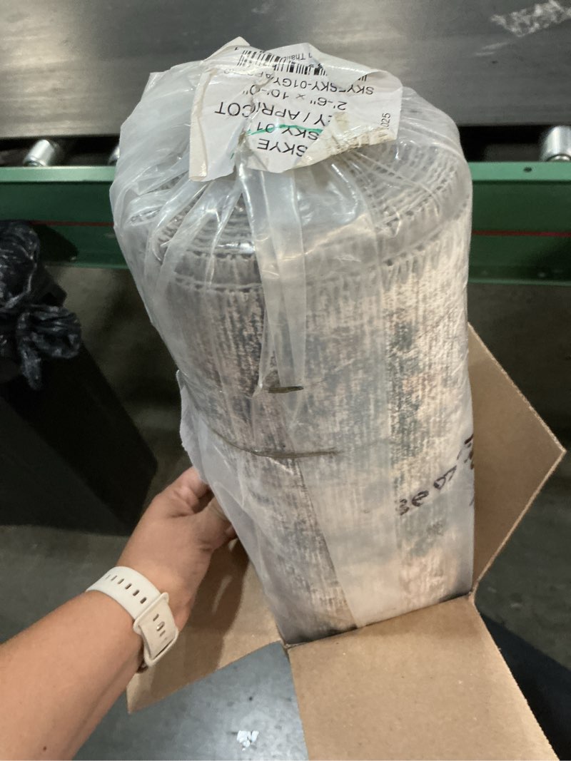 Condition photo showing Good Condition for loloi skye collection sky-01 grey/apricot 2'-6" x 10'-0" runner rug 2'6" x 10' (rectangular) grey / apricot