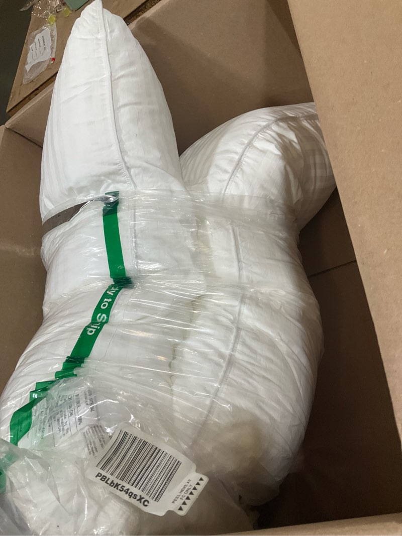 Condition photo showing Good Condition for pair of pillows