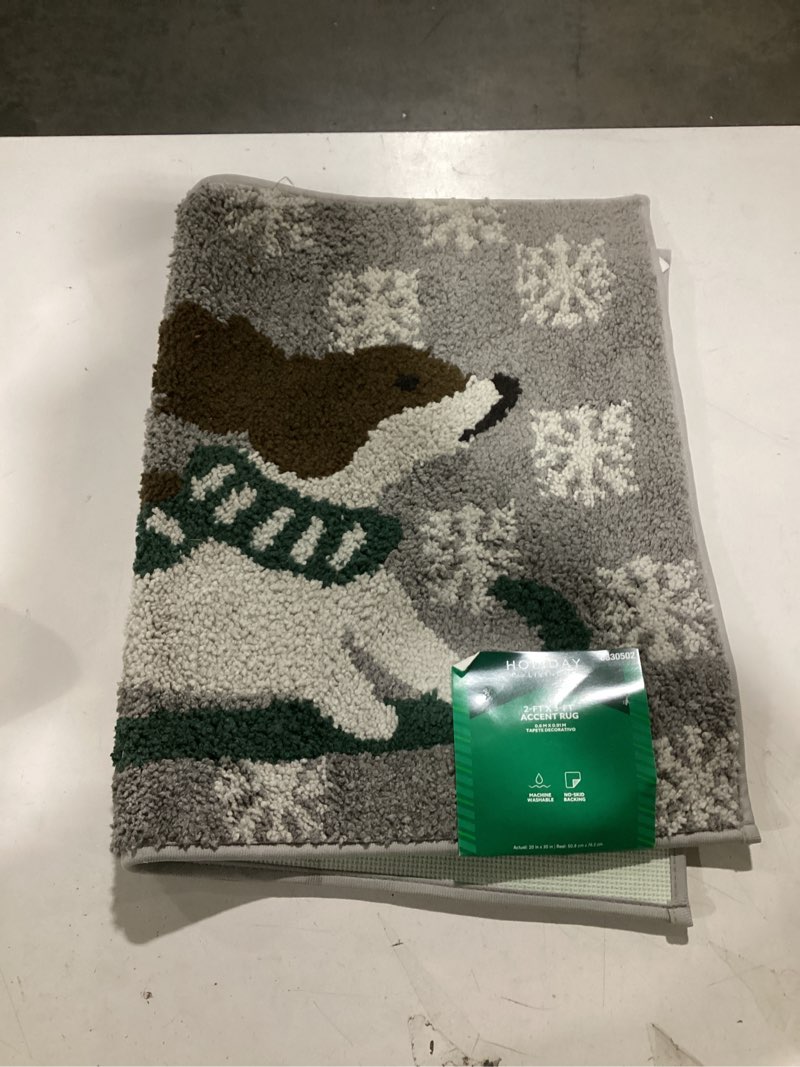 Holiday Living 20-in x 30-in Dog on Ski Polyester Bath rug