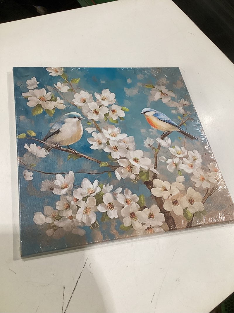 Condition photo showing Good Condition for artzgx bird canvas wall art white flower & blue birds on tree branches pictures painting living room decor framed (16.00" x 16.00") bird - b 16"l x 16"w