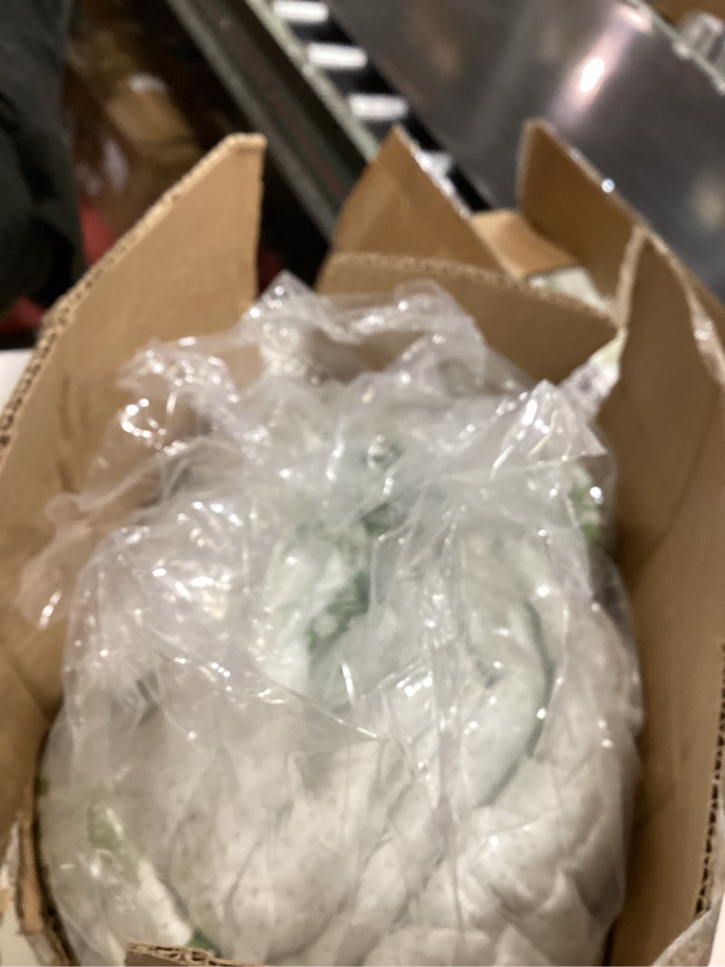 Condition photo showing New/Like New for HYLEORY Mattress Topper Queen Size - Bamboo-Viscose Plush Pillow Top Mattress Pad, Thick Mattress Protector Cover Breathable Fluffy Soft Bed Topper with 8-21" Deep Pocket, Green Green Queen