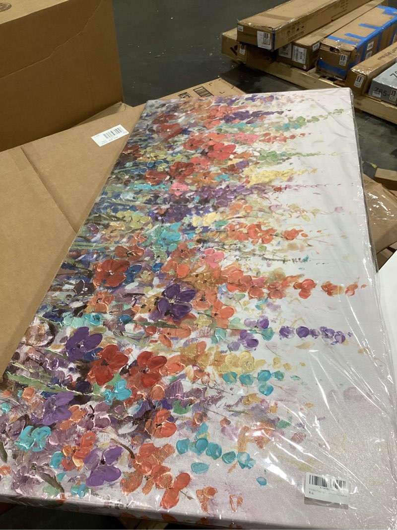 Condition photo showing Good Condition for xianshou floral wall art for living room/colorful decor 24"x 48"/ blossom botanical painting/wall decorations for home office bedroom kitchen dining room 48"l x 24"w colorful