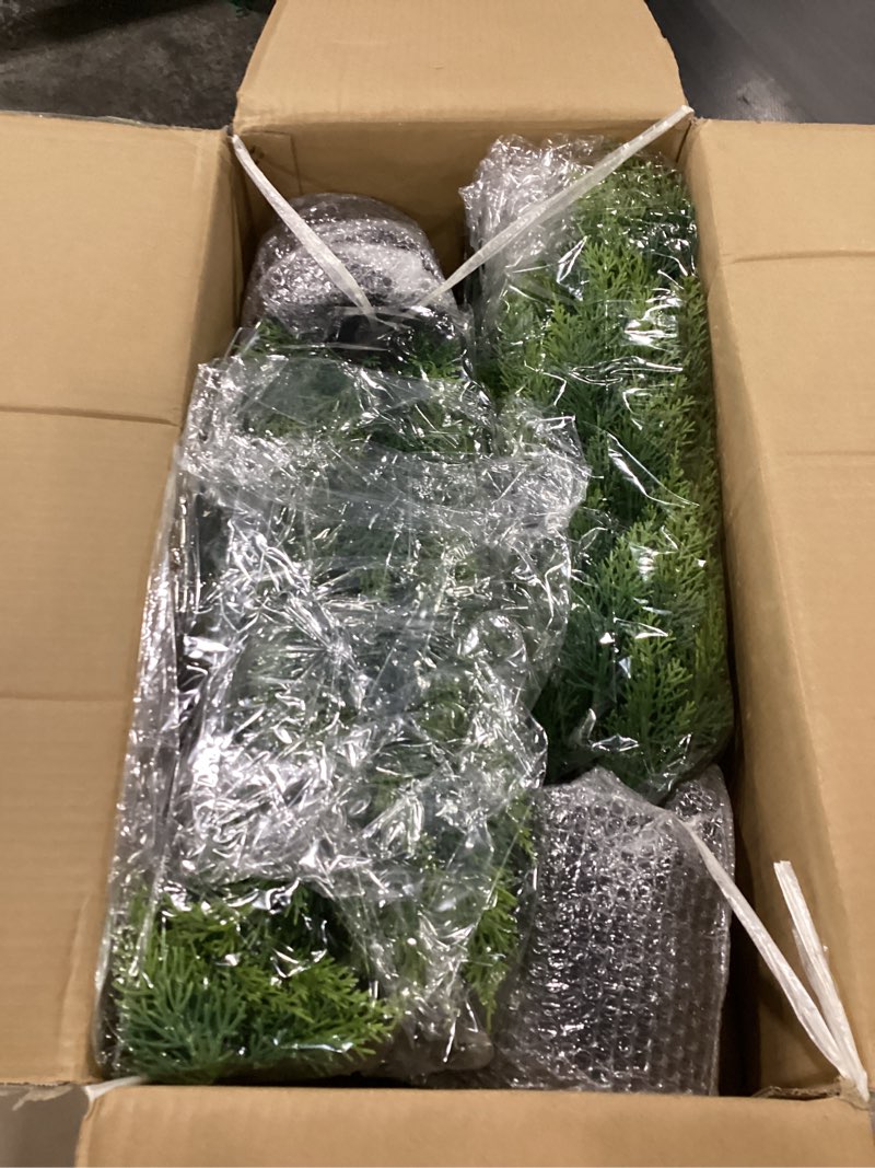 Condition photo showing New/Like New for Kivana 3 ft cedar trees