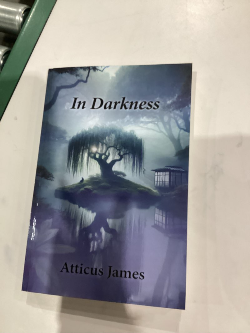 Condition photo showing Good Condition for In Darkness (The Echoed Heart Chronicles)