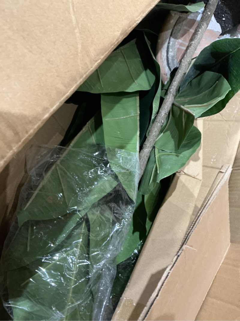 Condition photo showing As Is for nearly natural 6 ft .artificial rubber tree in decorative planter with real touch leaves 