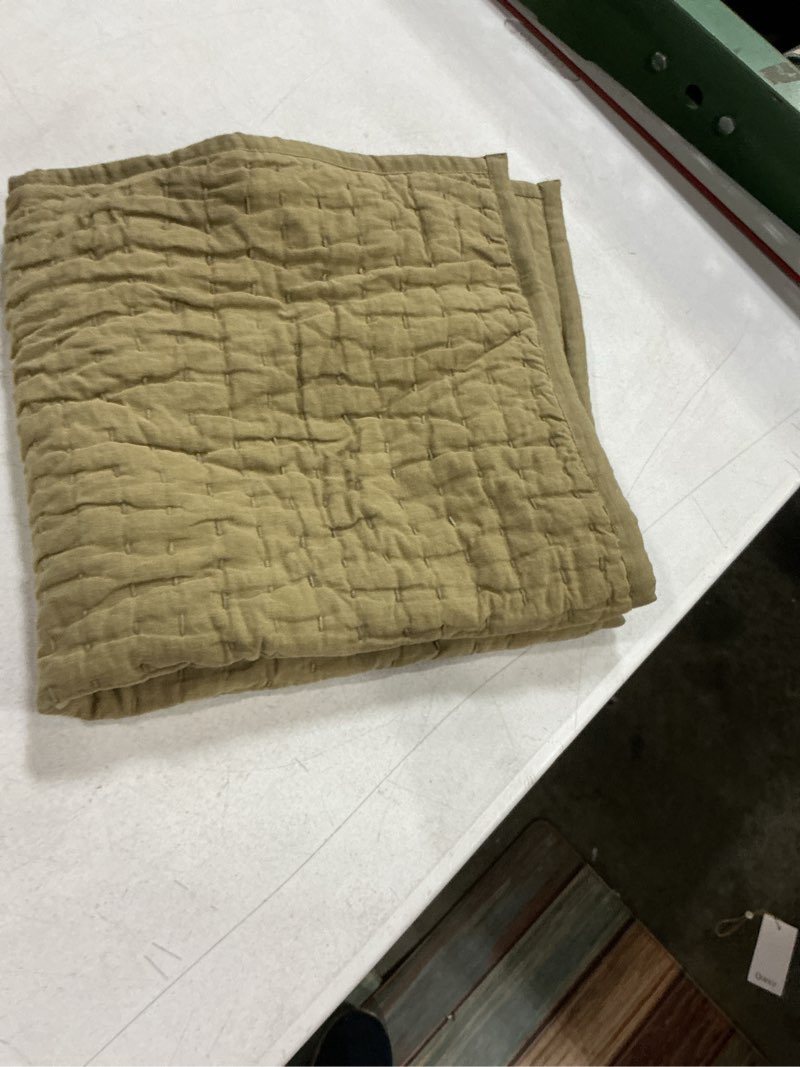 Condition photo showing Good Condition for european linen cotton stitch quilted euro sham color: willowleaf zise   26x26