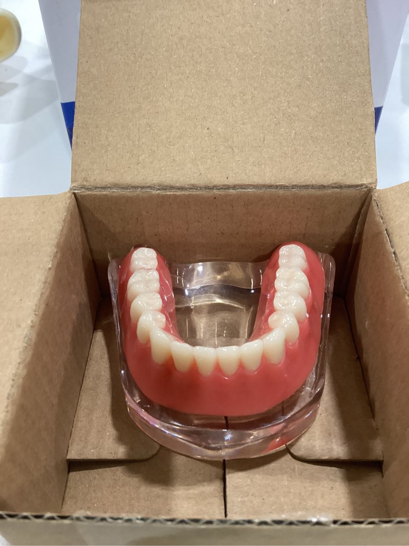Condition photo showing Good Condition for Transparent Dental Implants Model Detachable Model Lower Jaw Dental Teaching Model Suitable for Education and Study Silver
