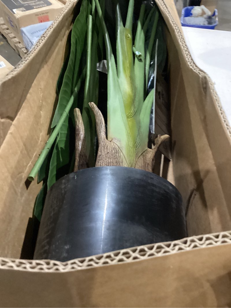 Condition photo showing Good Condition for lifelike bird of paradise artificial plant,6.6ft faux banana leaf tree with 15 trunks - perfect indoor silk floor plant for home decor in living room, office, and bedroom 1 6ft 7in