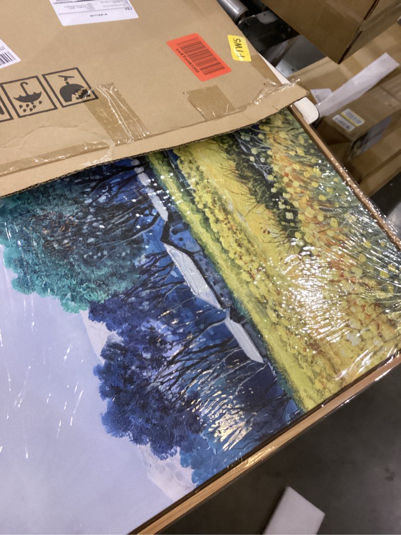 Condition photo showing Good Condition for Forest Wall Art - Modern Colorful Canvas Wall Art for Living Room- Large Framed Decorations, Wall Decor for Bedroom - Office Artwork Wall Decor 40\"L x 20\"W Brown