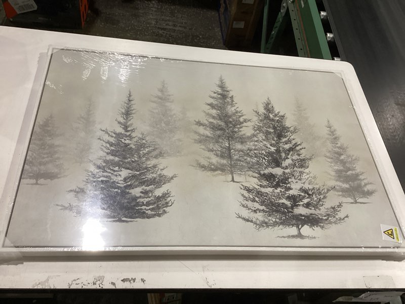 Condition photo showing New/Like New for framed black and white forest landscape wall art, modern minimalist pine tree canvas art prints, contemporary nature pictures wall decor for living room bedroom dining room hallway office 24x36 in 36"l x 24"w black and white pine tree