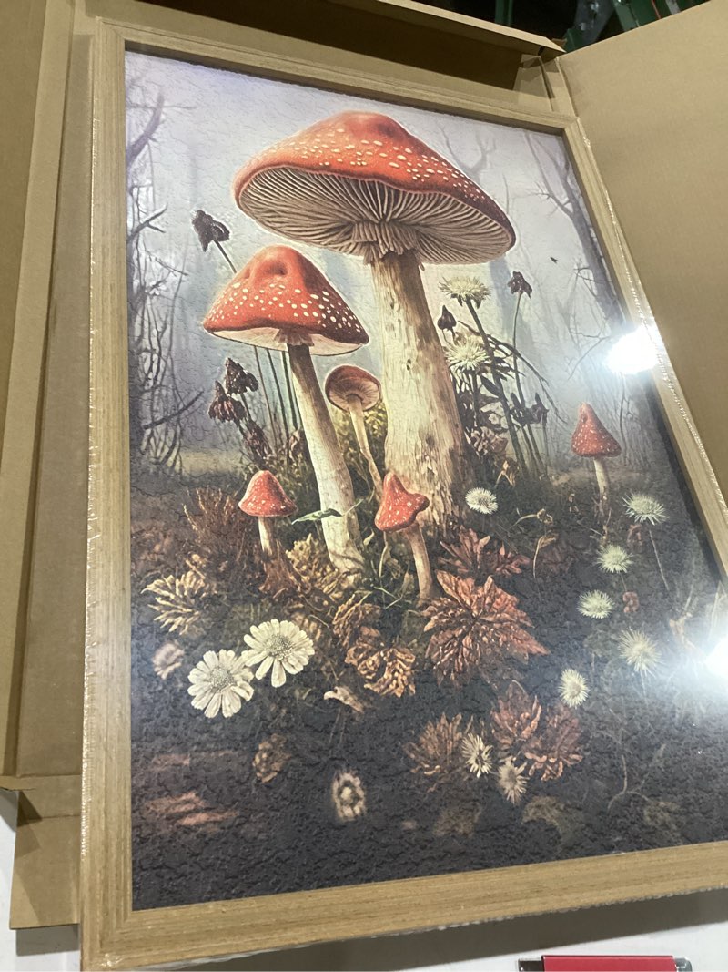 Condition photo showing New/Like New for Framed 3D Textured Wall Art, Gothic Dark Mushroom Wall Decor, Vintage Hand Drawn Sandstone Nature Botanical Pictures for Living Room Bathroom Bedroom Dining Room 16x24 inch Red Mushrooms Framed 24"L x 16"W