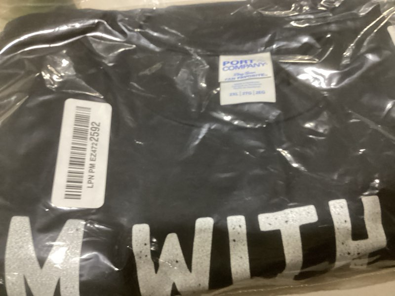 I'm With the Fairy Funny Couples Matching Halloween Costume T-Shirt