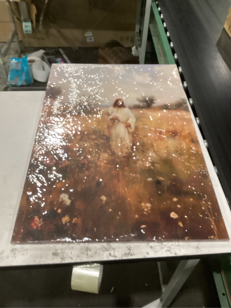 Condition photo showing New/Like New for zdmfltpp jesus and the lamb canvas wall art jesus holding the lost lamb wall decor pictures christian bible story religious artwork for bedroom living room home decoration 24inx36in canvas jesus lamb 24x36 in