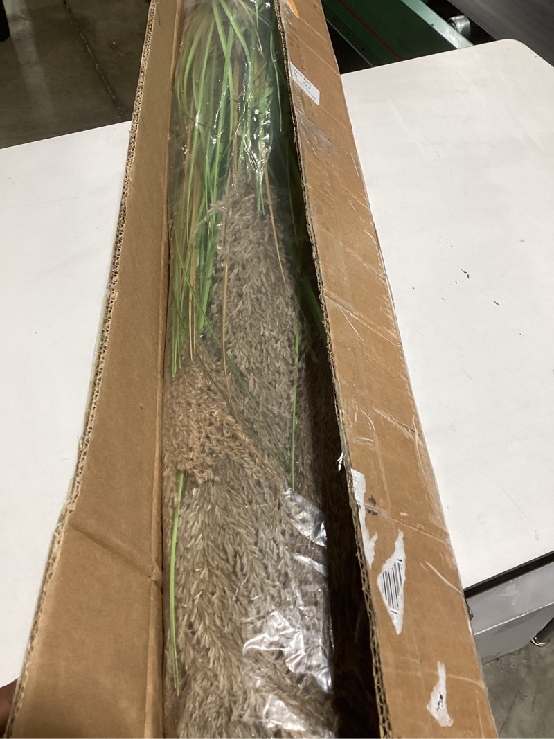 Condition photo showing Good Condition for jexine 2 pcs pampas grass potted plants 4 ft tall artificial grass potted artificial greenery floor plants tall in pot for housewarming gift house garden bathroom lobby outdoor decoration (fall) fall 2