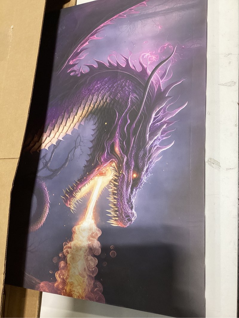 Condition photo showing Good Condition for tumovo canvas wall art for living room firedragon modern home decor purple dragon hd printed posters artwork for bedroom office animals wall art painting ready to hang, 24x16in 24"l x 16"w artwork-09