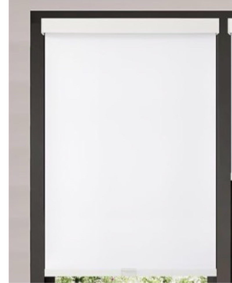 AOSKY Blackout Roller Shades Cordless Blinds for Windows, Free-Stop Shades with Valance, Thermal Ins