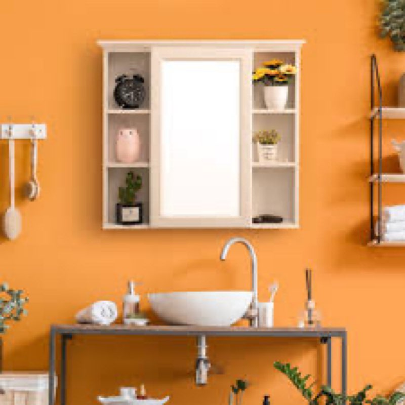 Jizell Surface Mount Framed 1 Door Medicine Cabinet