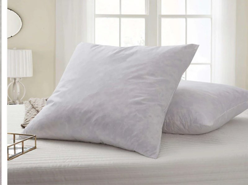 Blue Ridge Home Fashions, 26x26 Feather Euro (2 Pack),Hypoallergenic European Sleep Pillow Inserts S