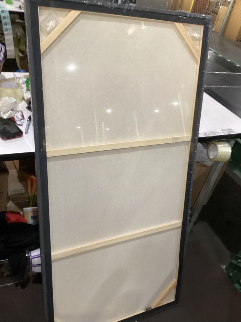 Condition photo showing Good Condition for Dragonfly wall art